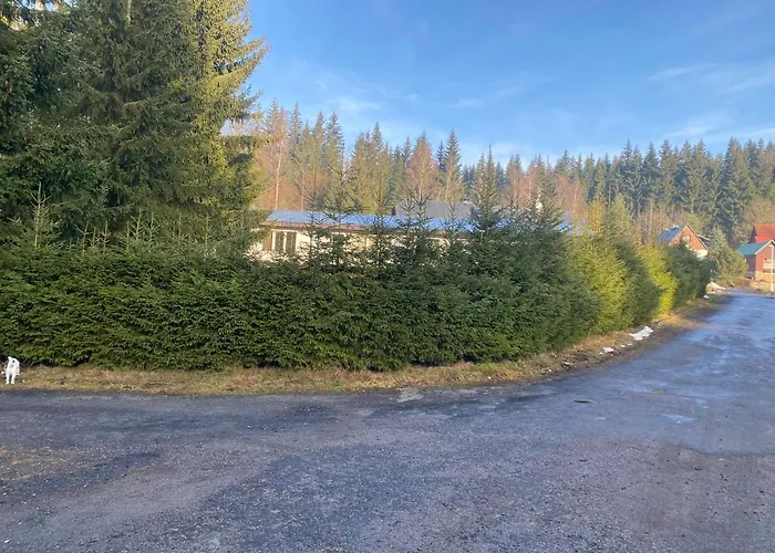 624 Harrachov